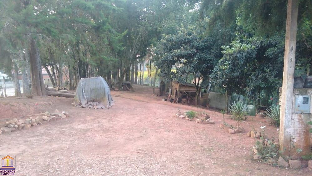 Chácara, 3 quartos, 6000 m² - Foto 9