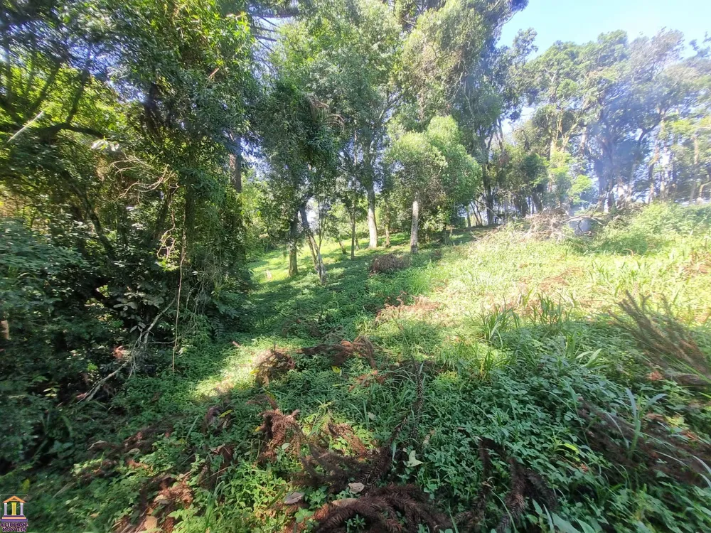 Chácara, 3 quartos, 6000 m² - Foto 18
