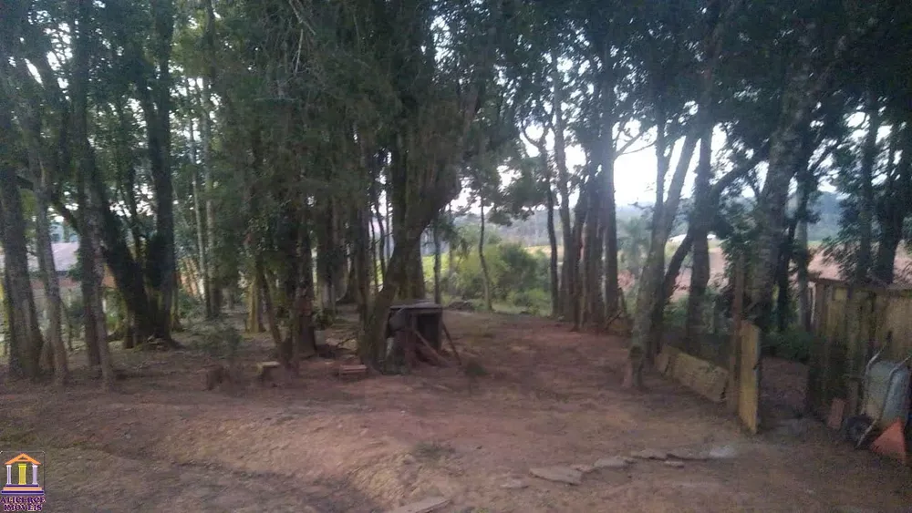 Chácara, 3 quartos, 6000 m² - Foto 10