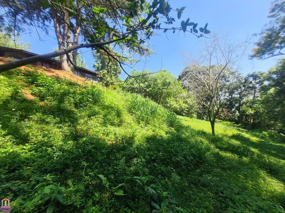Chácara, 3 quartos, 6000 m² - Foto 16
