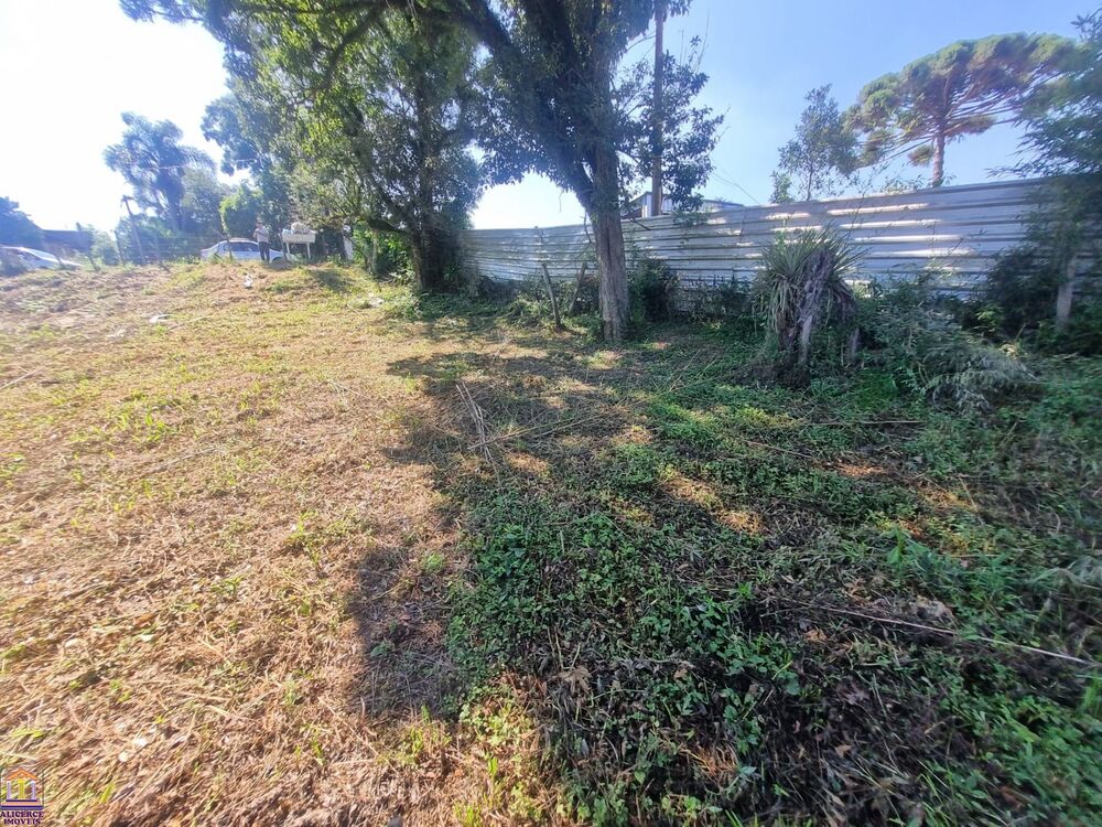 Terreno, 408 m² - Foto 6