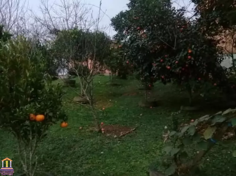 Chácara, 3 quartos, 1200 m² - Foto 13