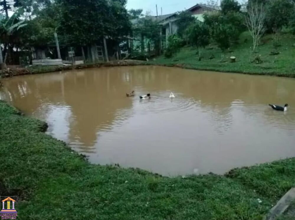 Chácara à venda com 3 quartos, 150m² - Foto 11