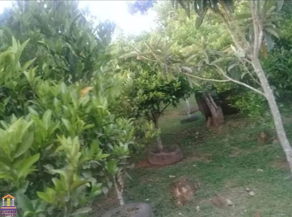 Chácara à venda com 3 quartos, 150m² - Foto 14