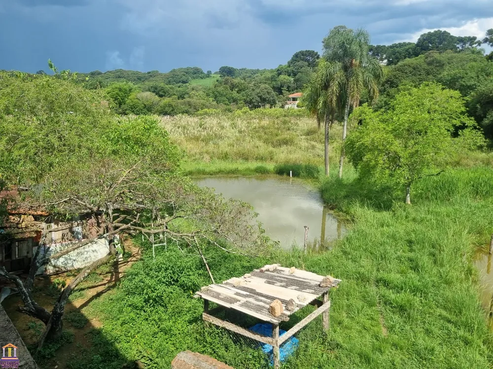 Chácara, 4 quartos - Foto 6