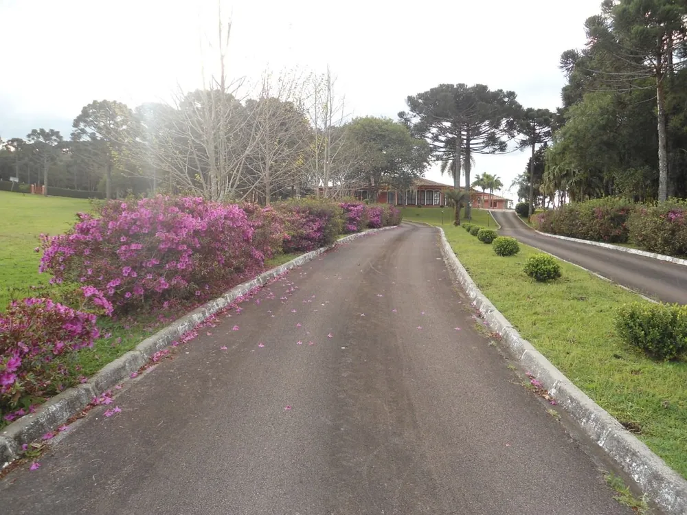 Terreno, 12 hectares - Foto 1