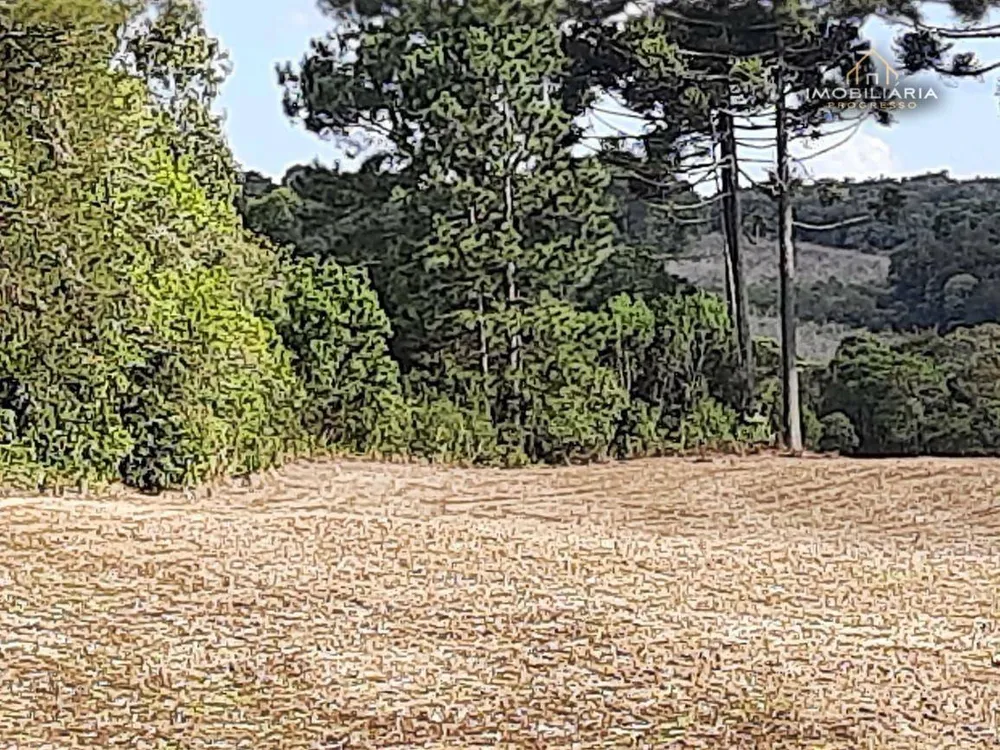 Terreno, 7 hectares - Foto 4