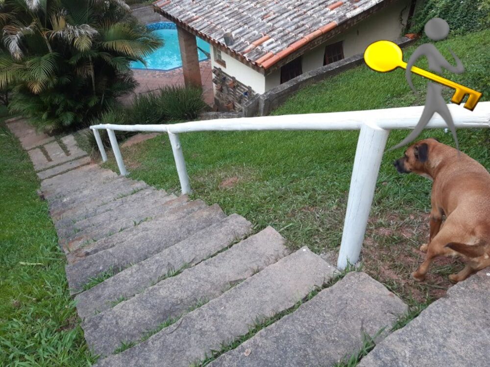 Casa, 4 quartos, 400 m² - Foto 2