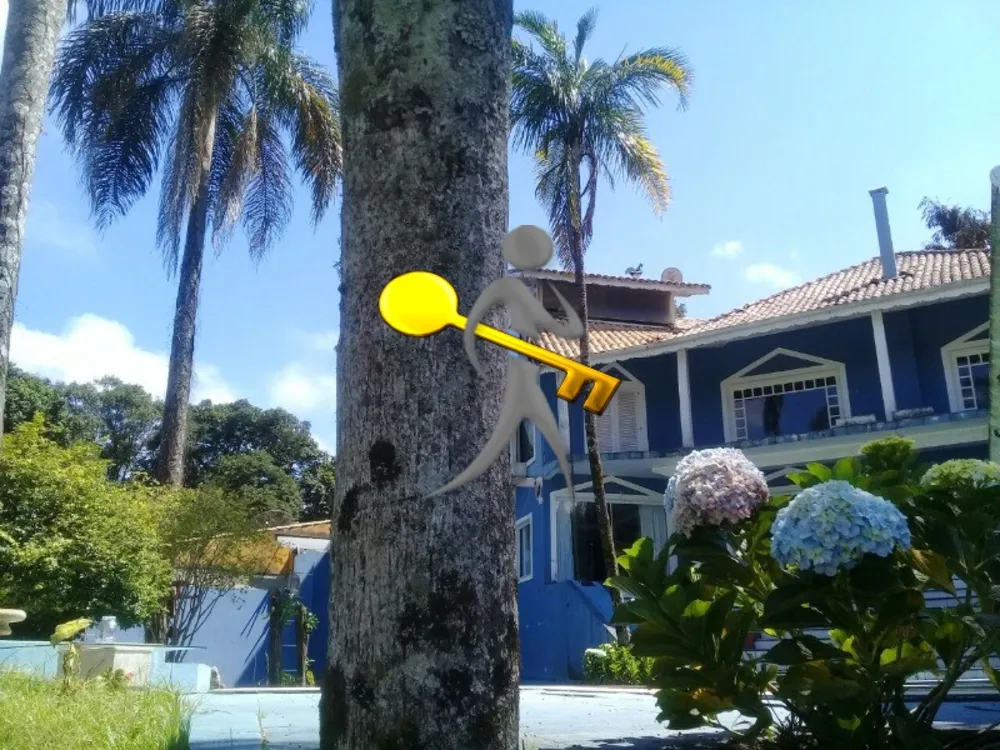 Casa, 4 quartos, 800 m² - Foto 15