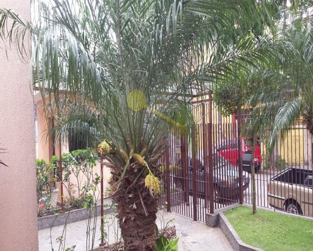 Apartamento, 2 quartos, 52 m² - Foto 15