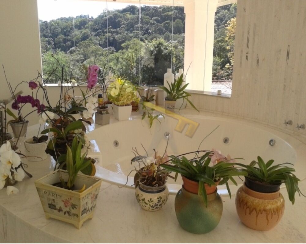 Casa, 4 quartos, 800 m² - Foto 6