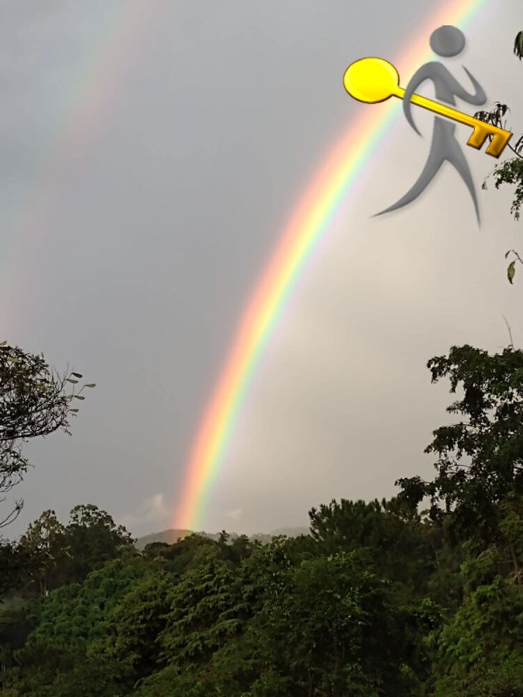 Casa, 4 quartos, 516 m² - Foto 19