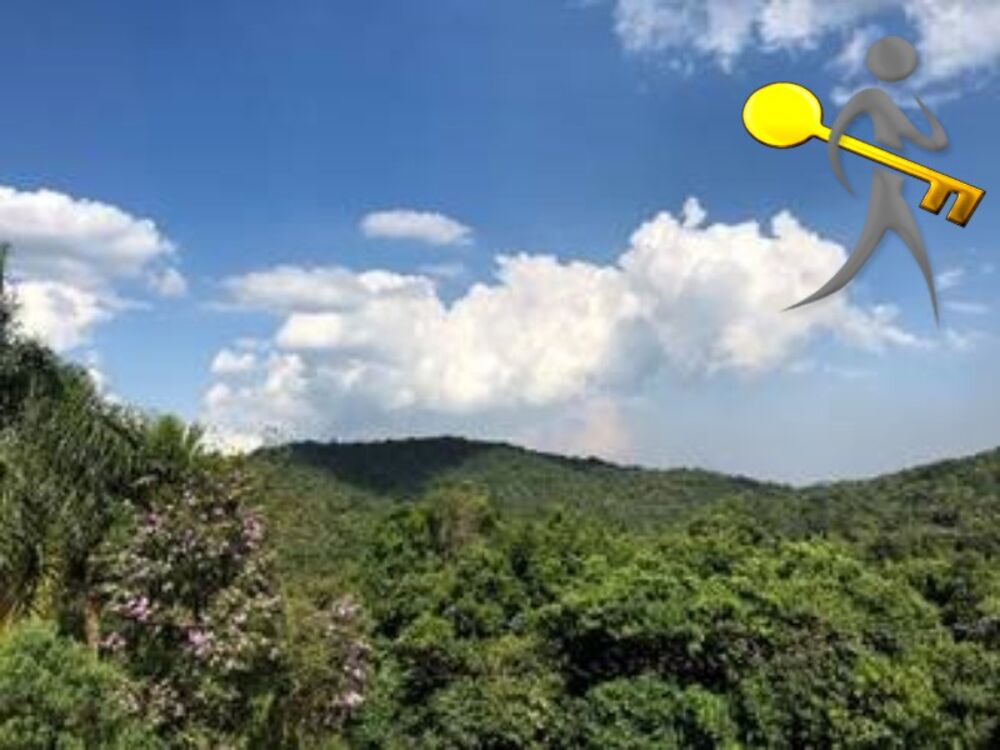 Casa, 4 quartos, 516 m² - Foto 17