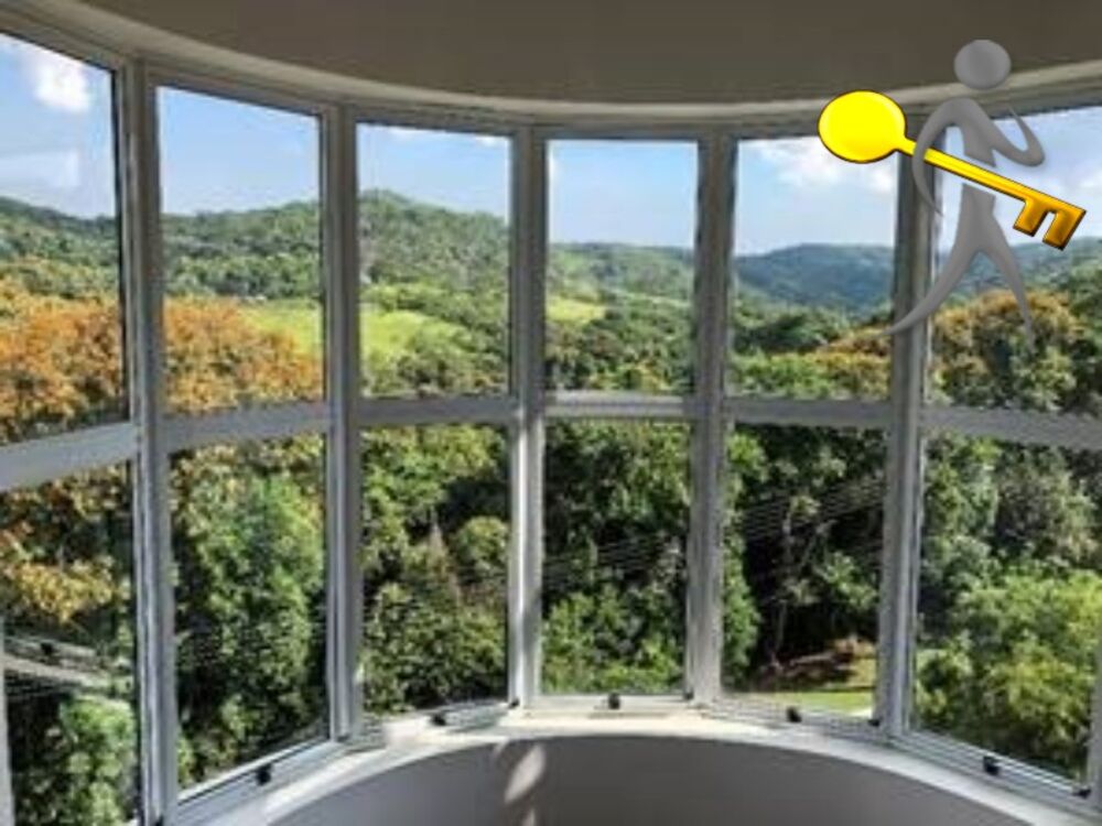 Casa, 4 quartos, 516 m² - Foto 14