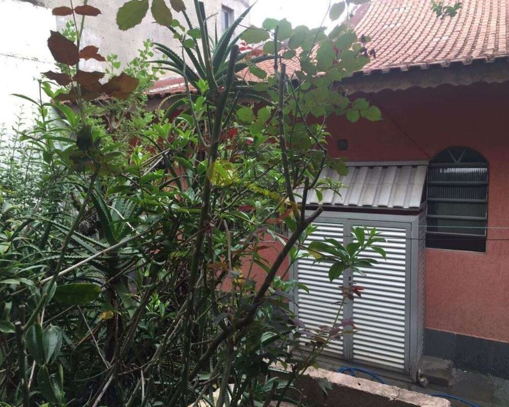 Casa, 3 quartos, 304 m² - Foto 9