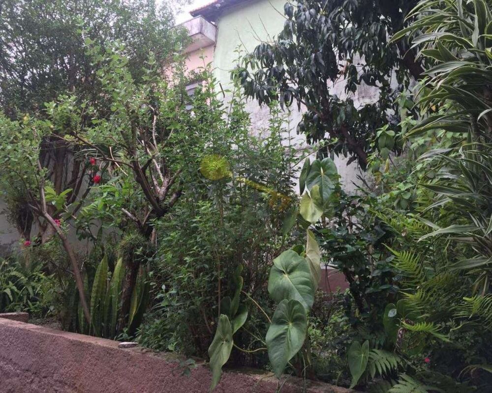 Casa, 3 quartos, 304 m² - Foto 7