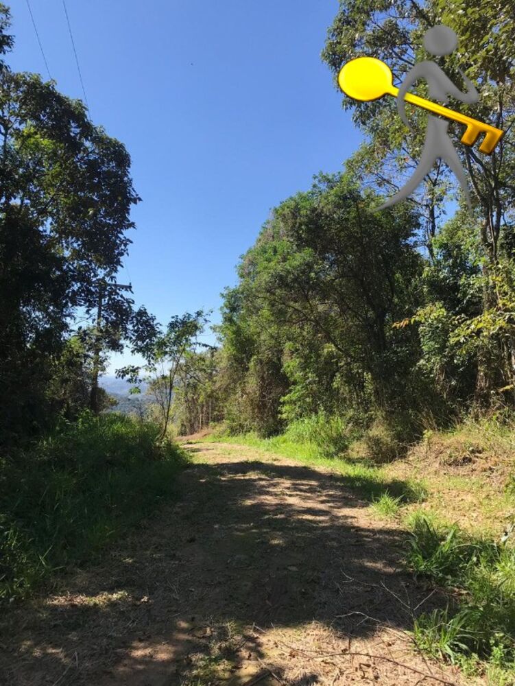 Terreno, 1541 m² - Foto 4