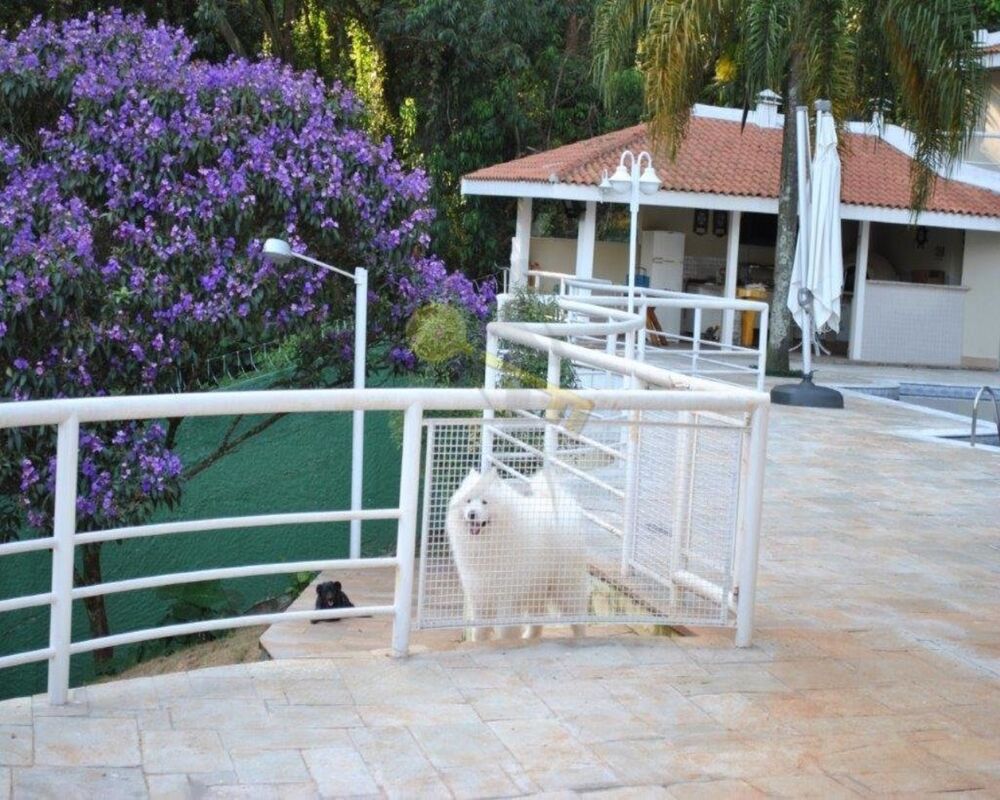 Casa, 6 quartos, 600 m² - Foto 3