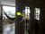 Casa, 3 quartos, 400 m² - Foto 3