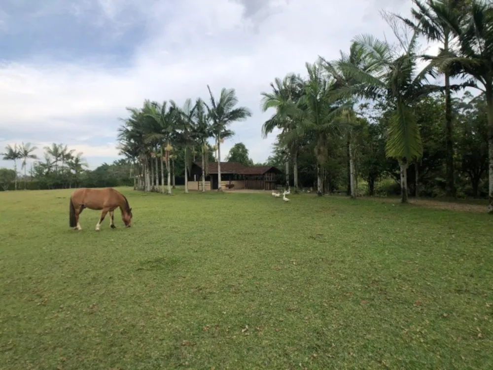 Chácara, 1 quarto, 2 hectares - Foto 16