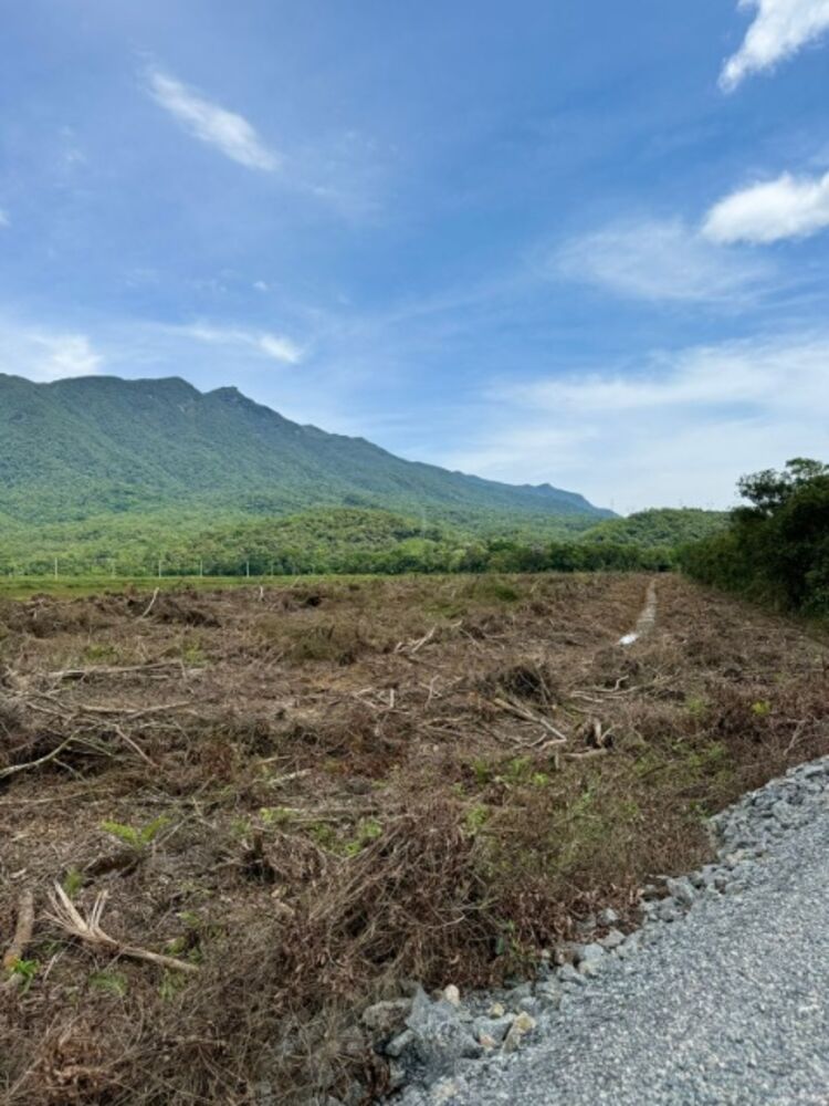 Terreno à venda, 20000m² - Foto 4