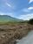 Terreno, 20000 m² - Foto 4