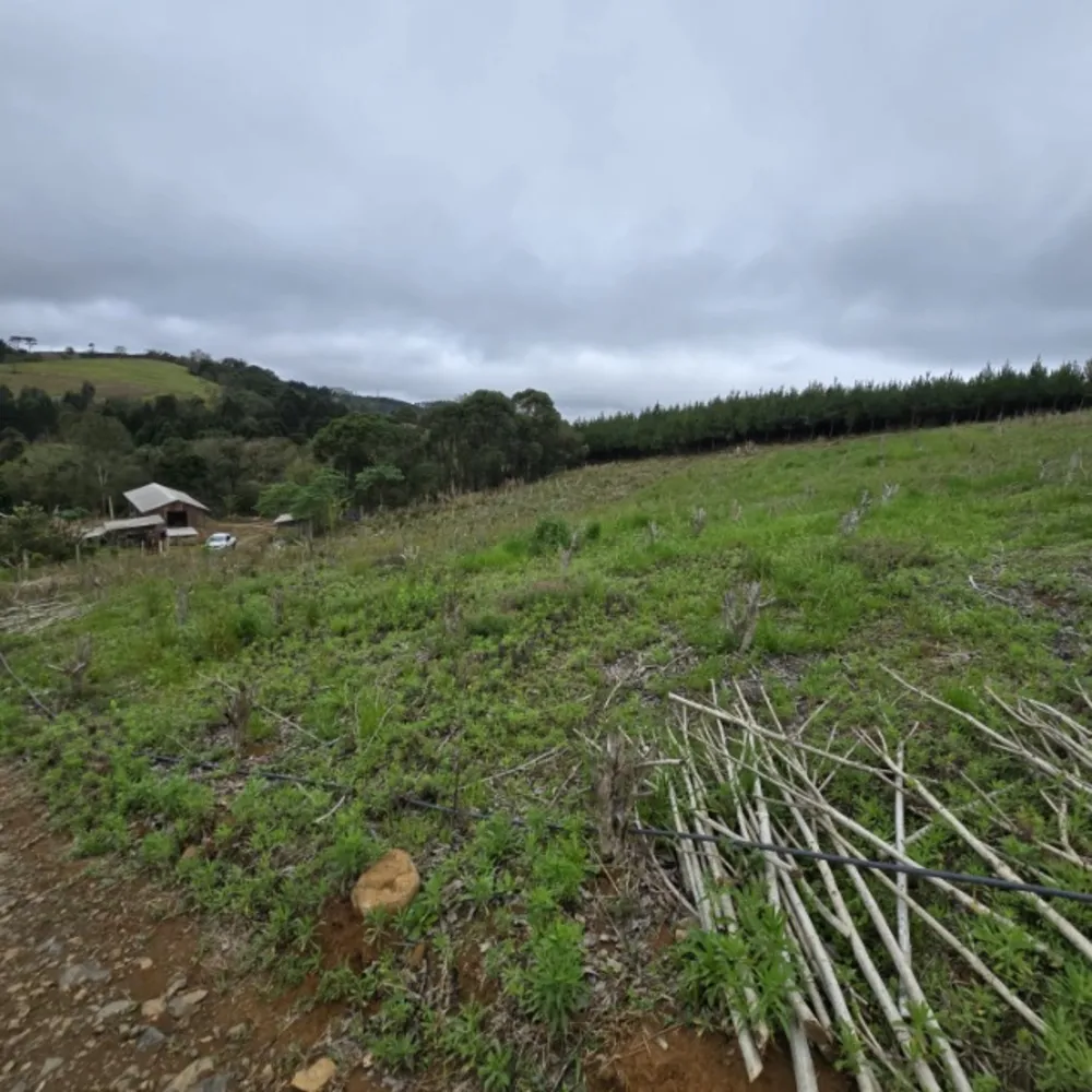 Terreno, 26852 m² - Foto 6