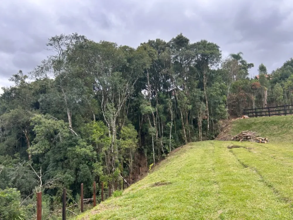 Chácara, 6 quartos, 1 hectares - Foto 14