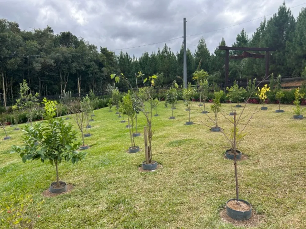 Chácara, 6 quartos, 1 hectares - Foto 12