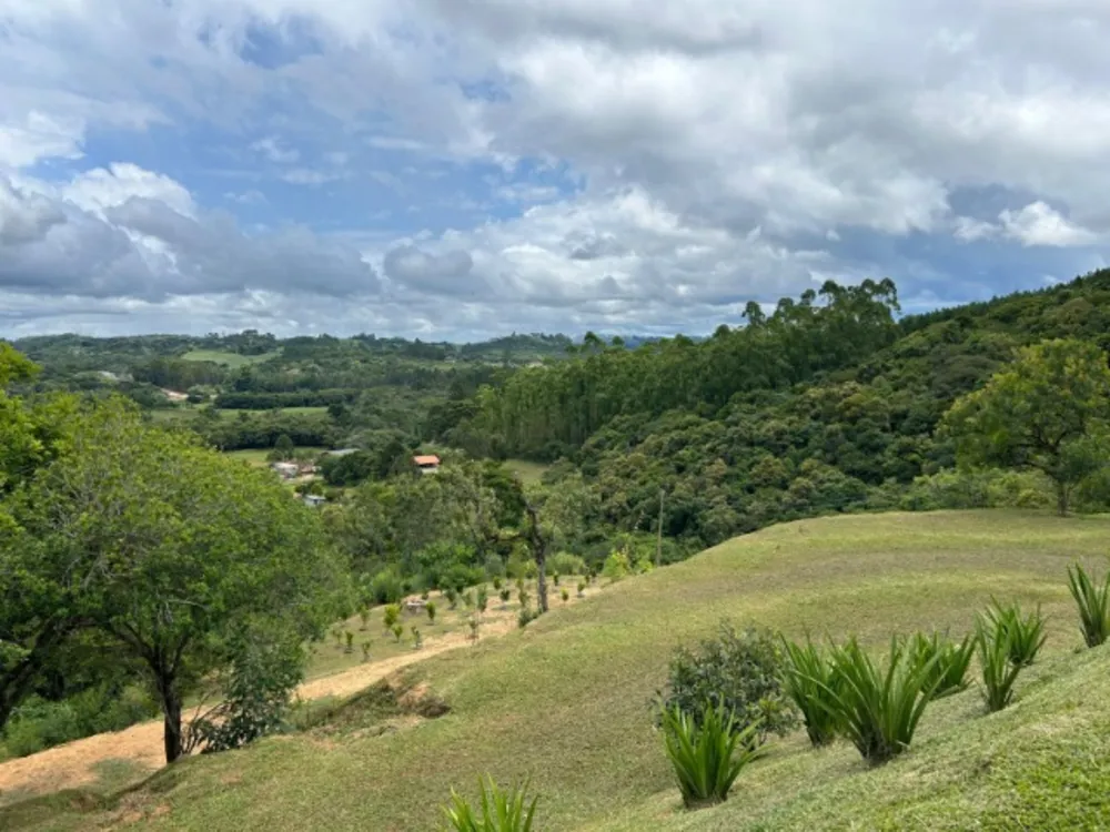 Chácara, 6 quartos, 1 hectares - Foto 3