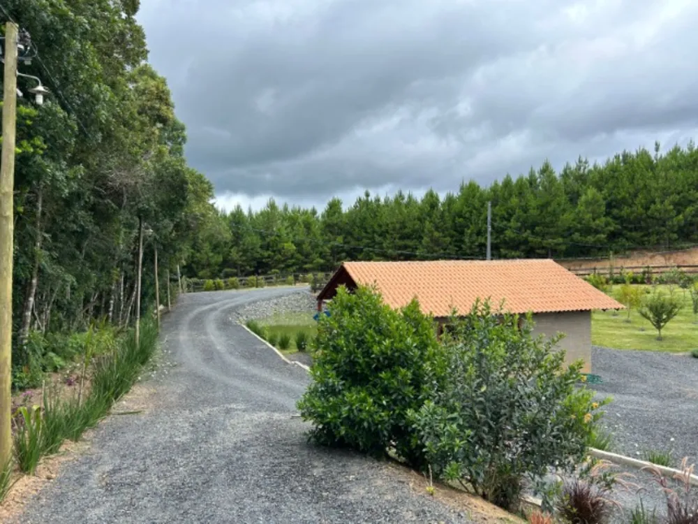 Chácara, 6 quartos, 1 hectares - Foto 2