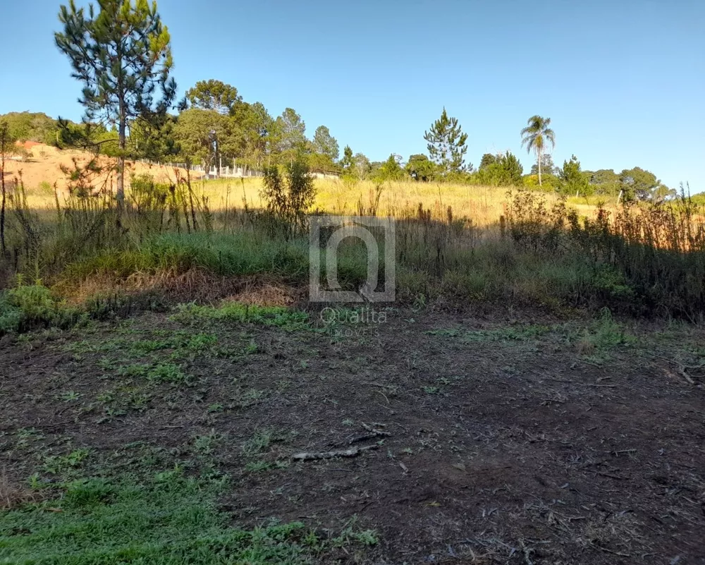 Terreno à venda, 10300m² - Foto 2