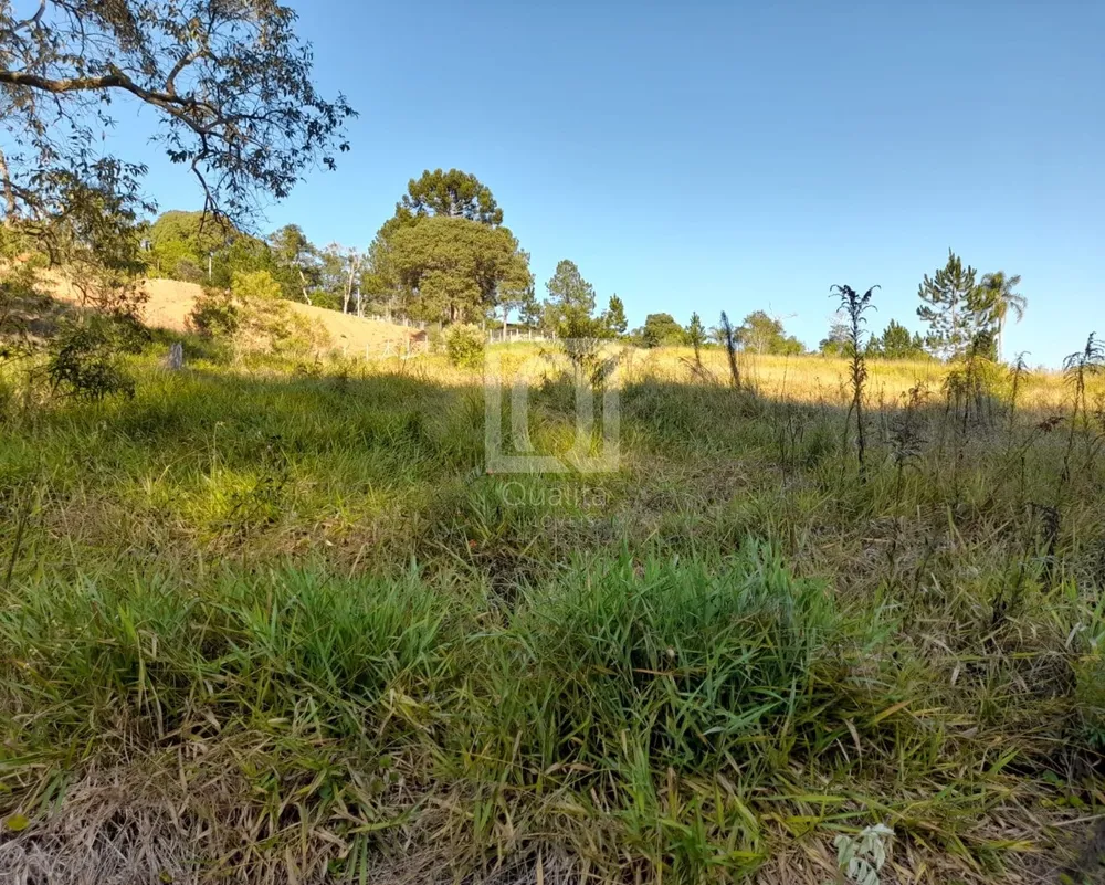 Terreno, 10300 m² - Foto 6