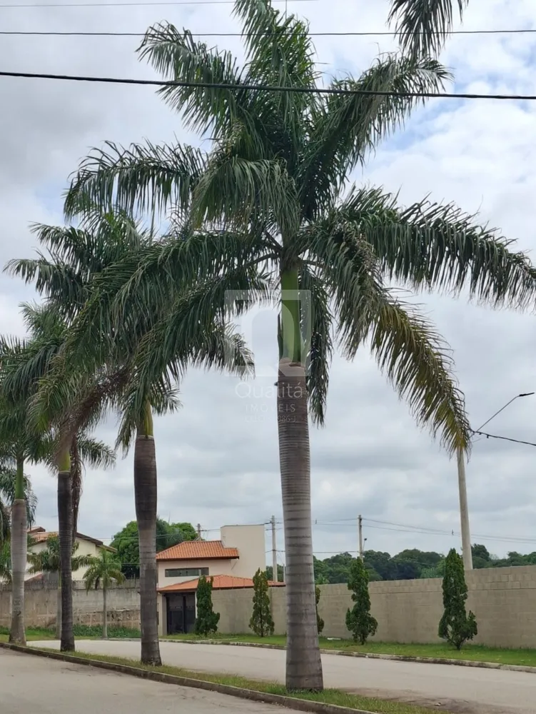 Terreno, 443 m² - Foto 6