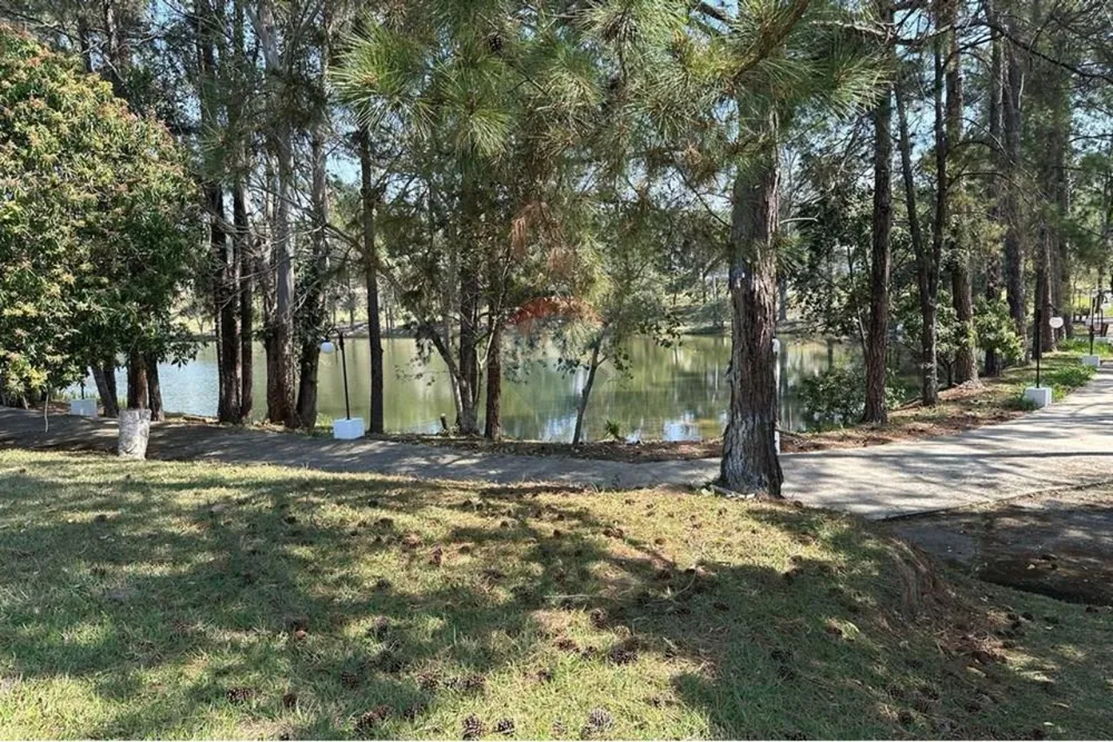 Terreno, 1015 m² - Foto 6