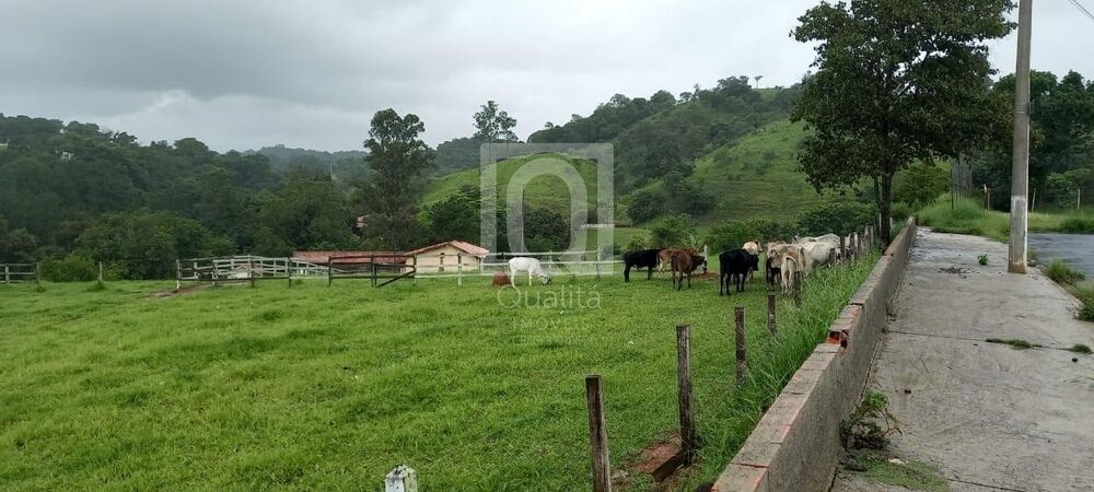 Terreno à venda, 67000m² - Foto 4