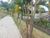 Terreno, 330 m² - Foto 9