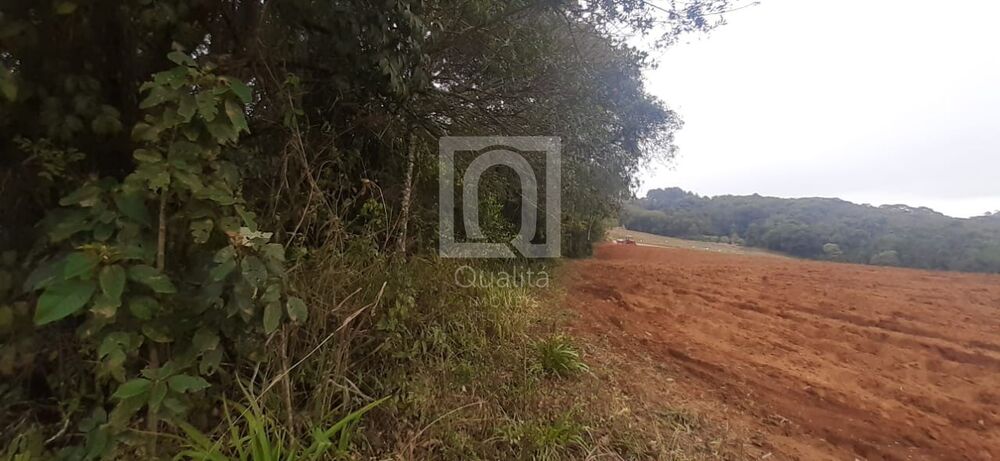 Terreno, 96800 m² - Foto 3