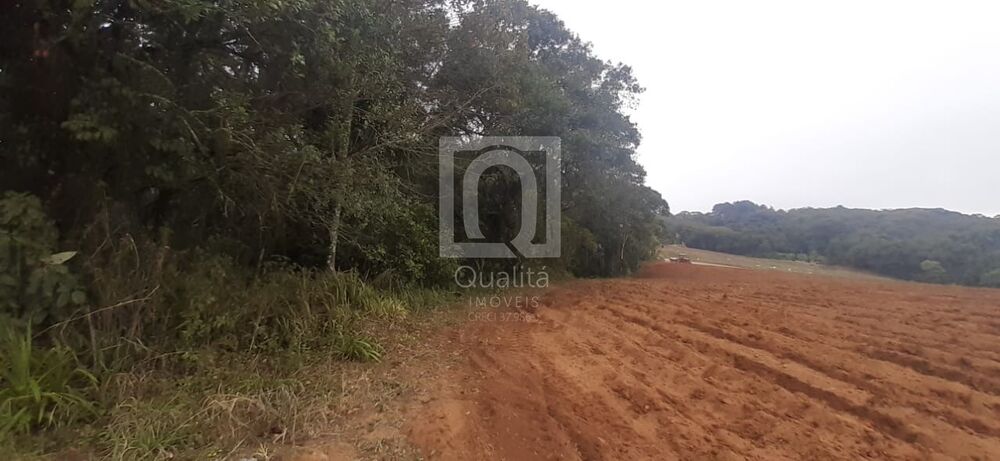 Terreno, 96800 m² - Foto 2