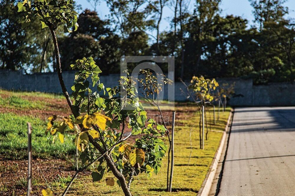 Terreno, 1285 m² - Foto 4