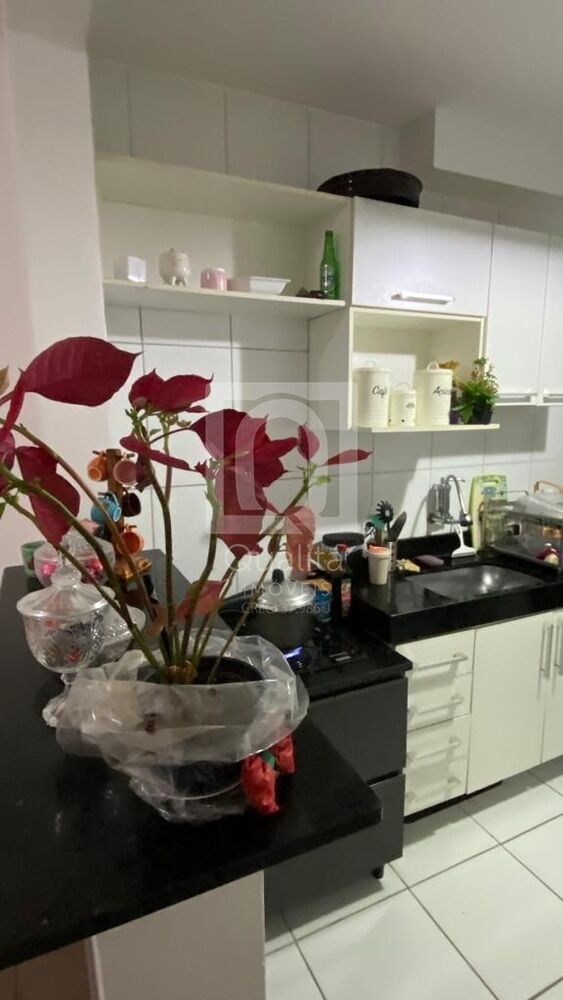 Apartamento, 2 quartos, 47 m² - Foto 8