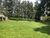 Chácara, 8 quartos, 2 hectares - Foto 21