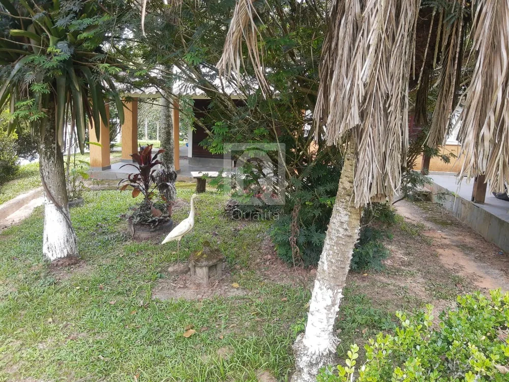 Chácara, 4 quartos, 6000 m² - Foto 9