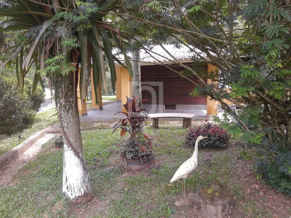 Chácara, 4 quartos, 6000 m² - Foto 8