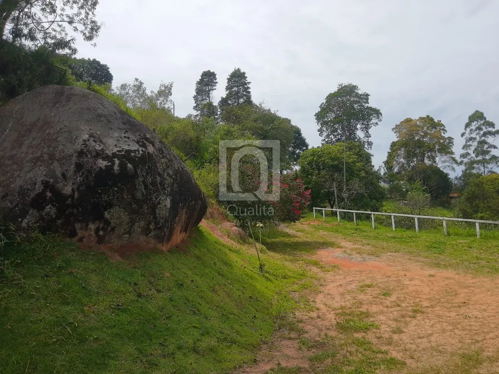 Chácara, 4 quartos, 6000 m² - Foto 11