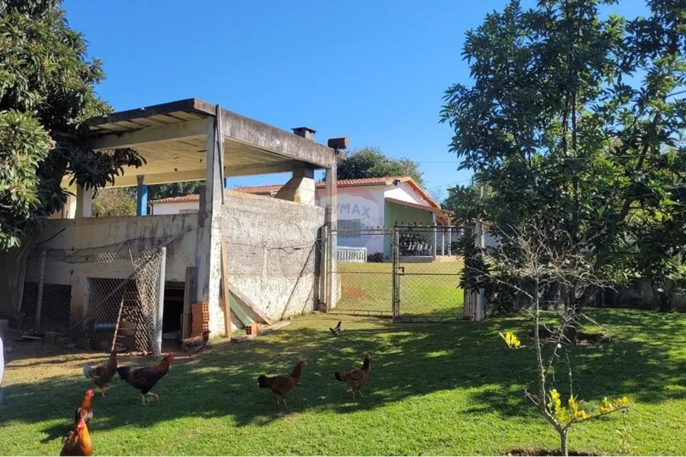 Chácara, 3 quartos, 3197 m² - Foto 6