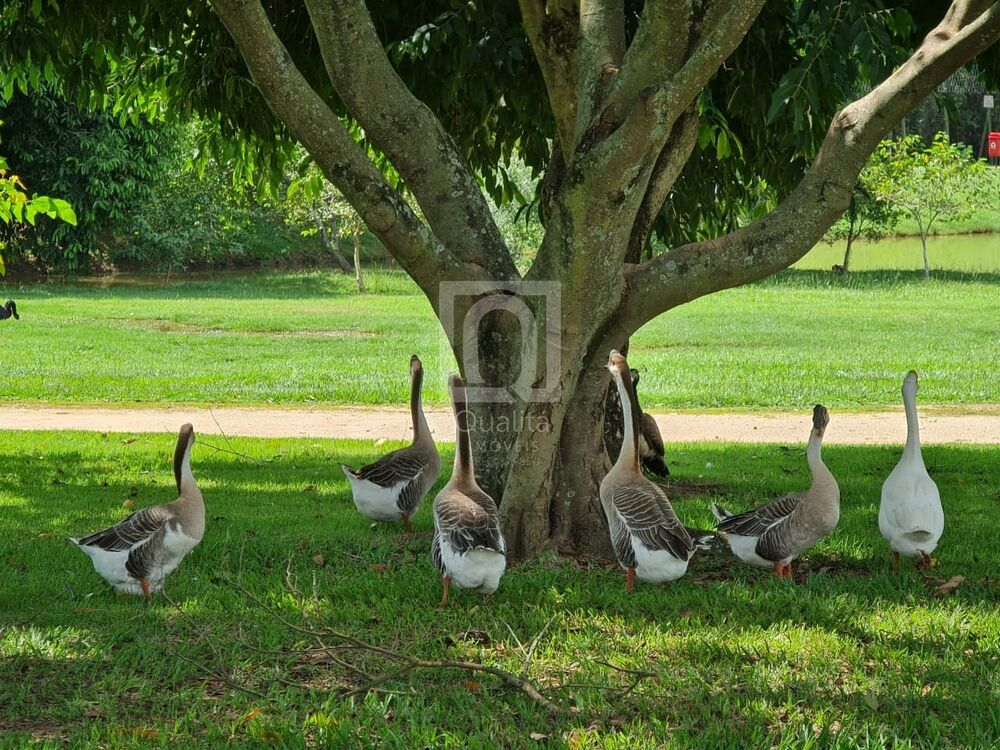 Casa de Condomínio, 4 quartos - Foto 31