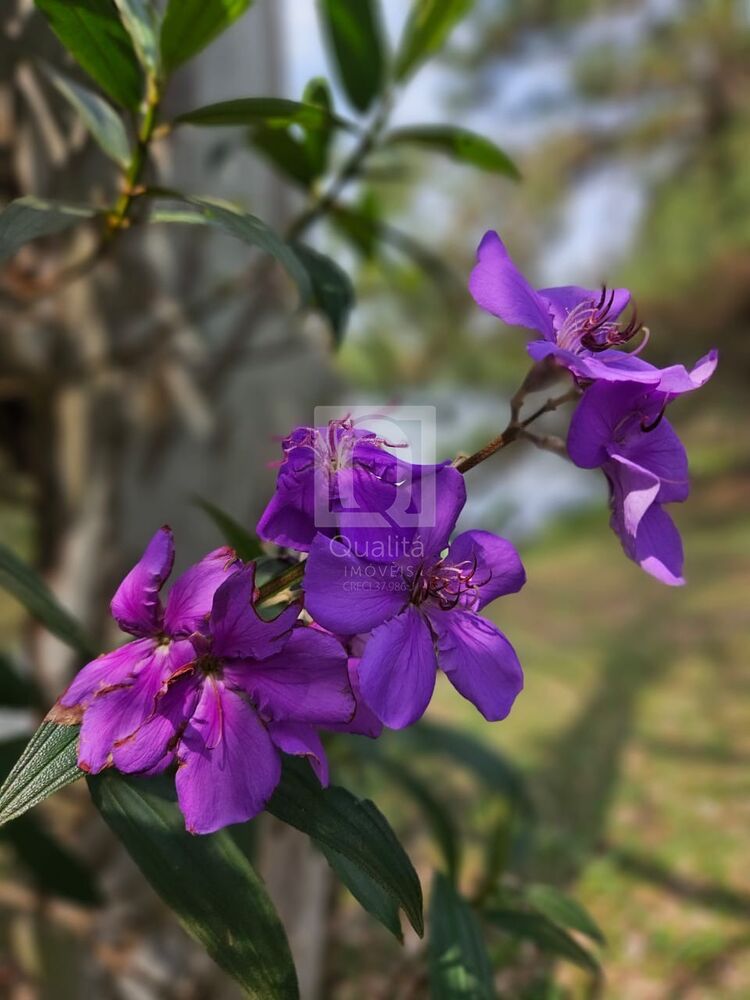 Terreno, 1000 m² - Foto 5