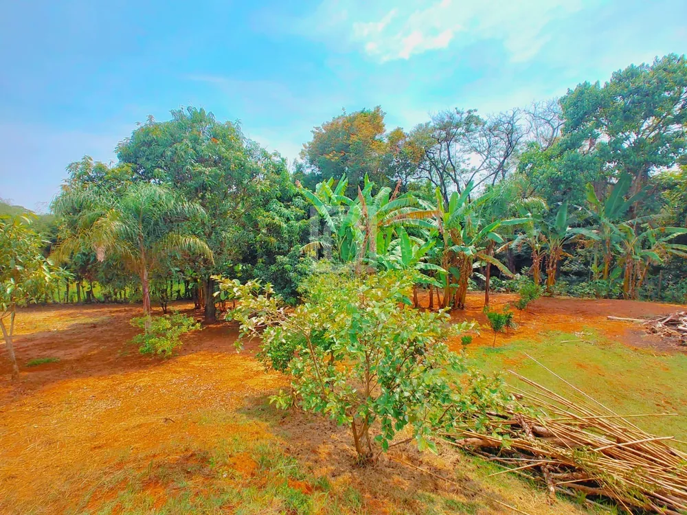 Chácara, 3 quartos, 4800 m² - Foto 33