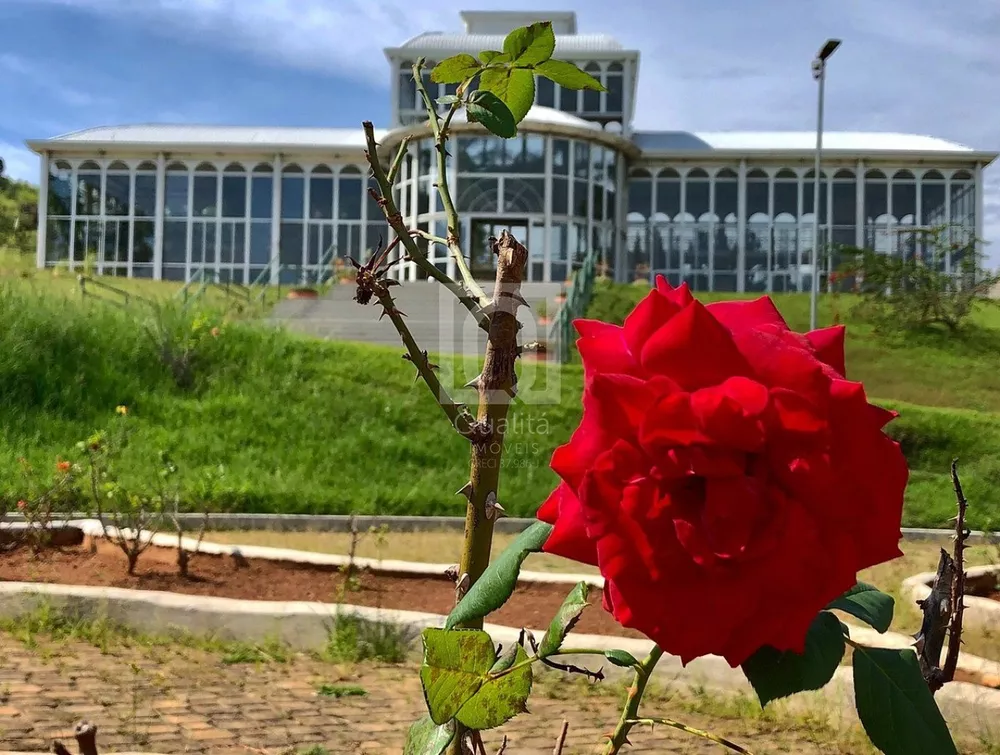 Terreno, 154 m² - Foto 4